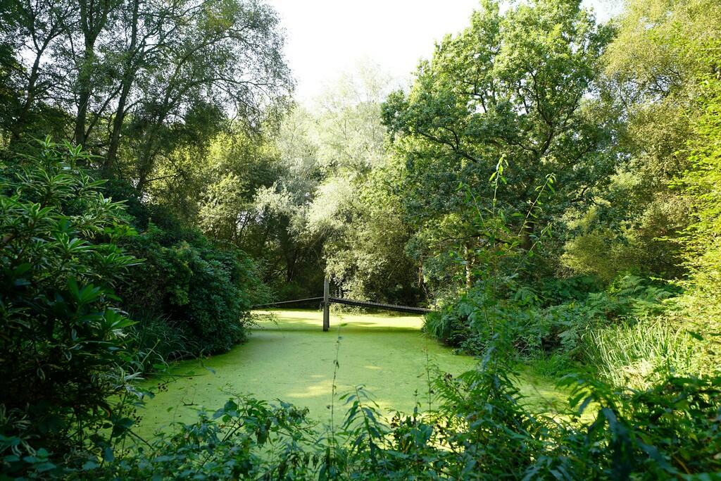 Additional image 48 of Chester Road, Oakmere