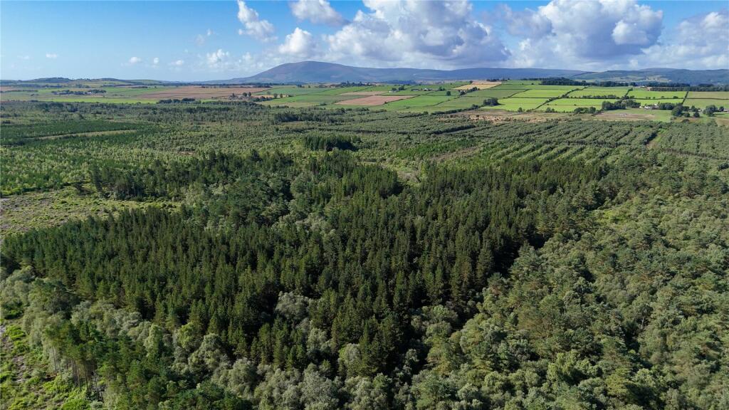 Additional image 4 of Fleet Forest, Fleet Forest, Dumfries, Dumfries & Galloway, South West Scotland, DG1