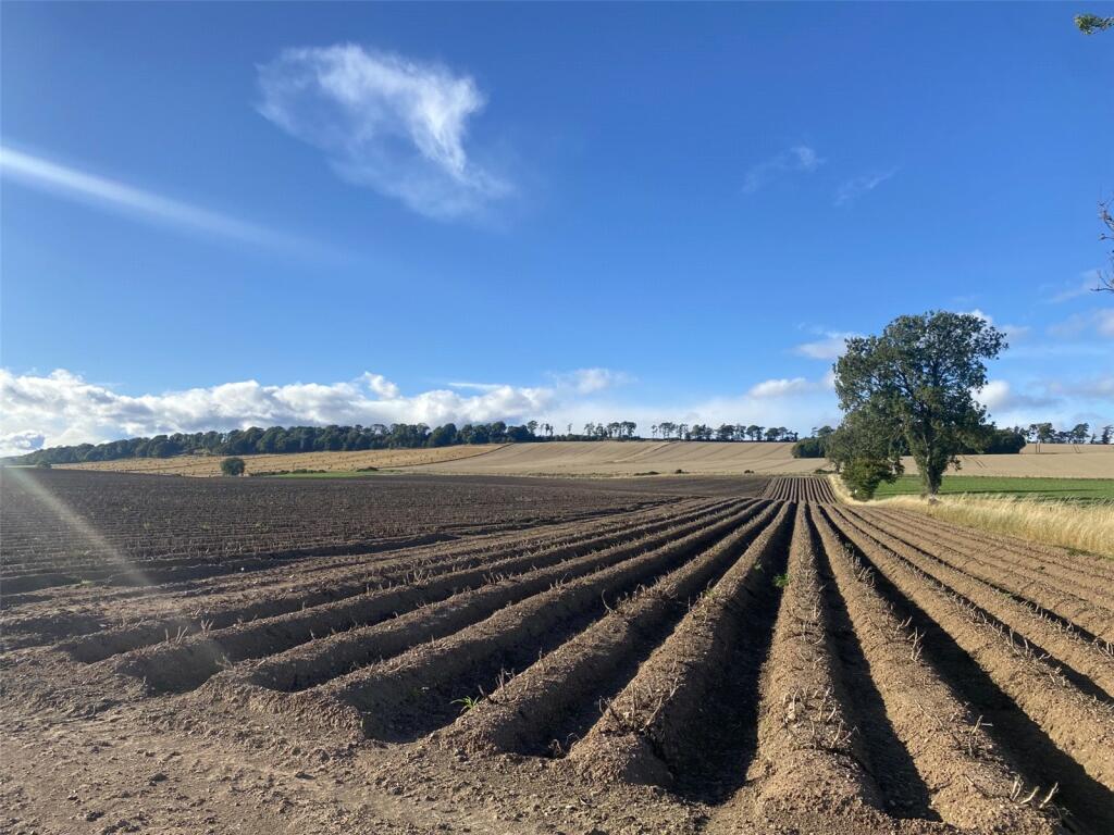 Additional image 9 of Land At West Kintrockat Farm, Brechin, Angus, DD9