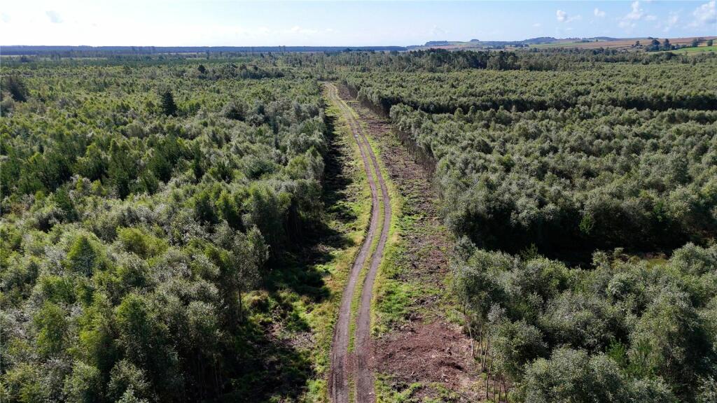 Additional image 7 of Fleet Forest, Fleet Forest, Dumfries, Dumfries & Galloway, South West Scotland, DG1