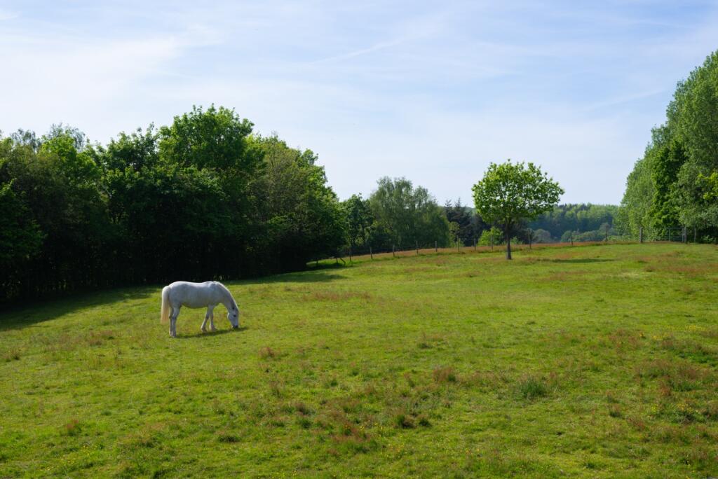 Additional image 26 of Chartham Hatch, Canterbury