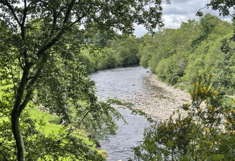 Additional image 25 of Justinhaugh, Forfar, DD8