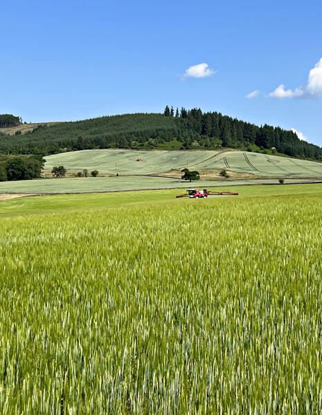 Additional image 4 of Townhead South