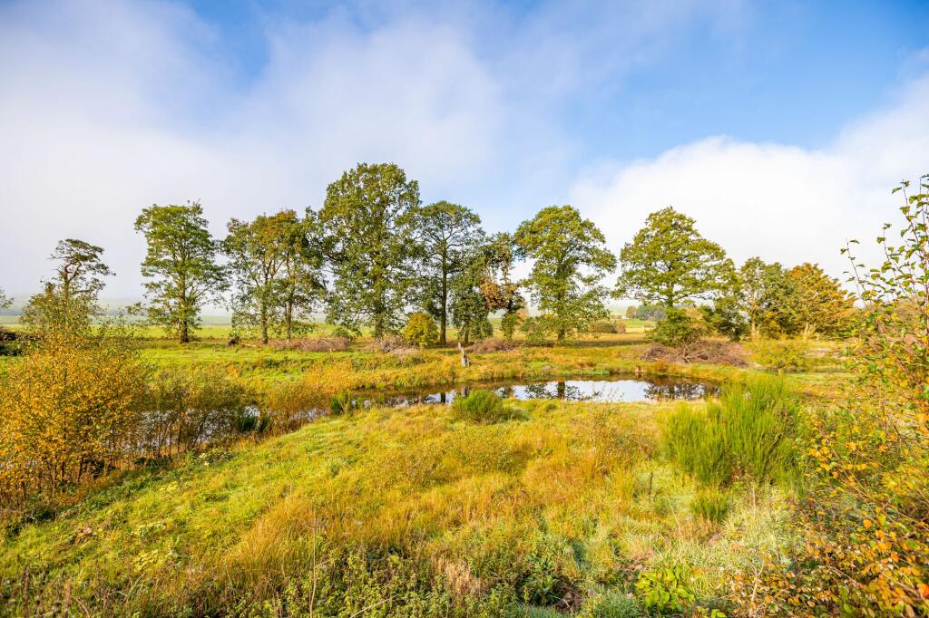 Additional image 23 of Westwinds, Moffat, DG10