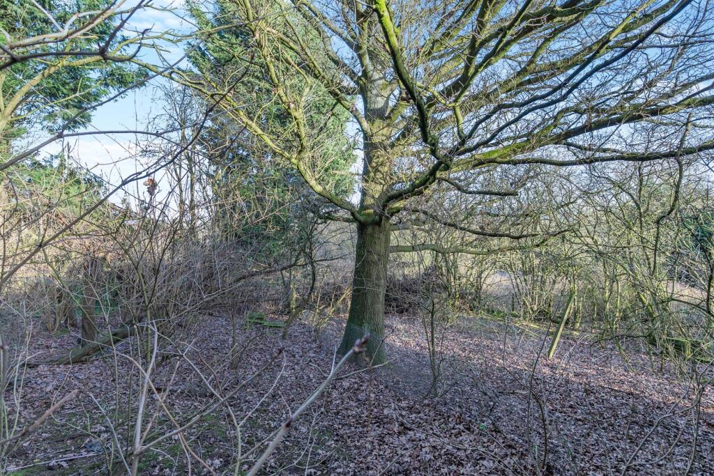 Additional image 43 of Station Hill, Fillongley