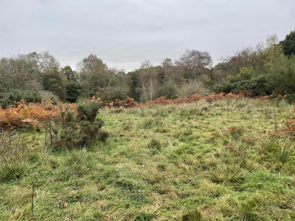 Additional image 2 of Land at Wallnook Lane, Langley Park, Durham
