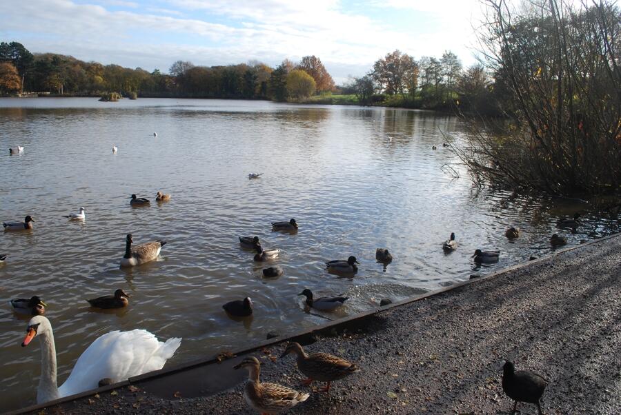 Additional image 6 of Plot B2 Shipley Lakeside, Pit Lane, Shipley, Heanor, Derbyshire