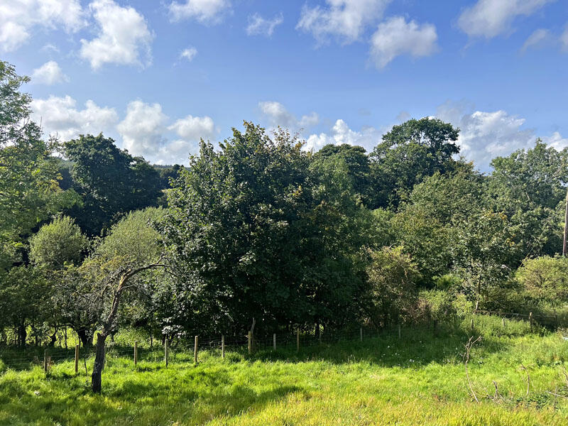 Additional image 6 of Land at Laurieston