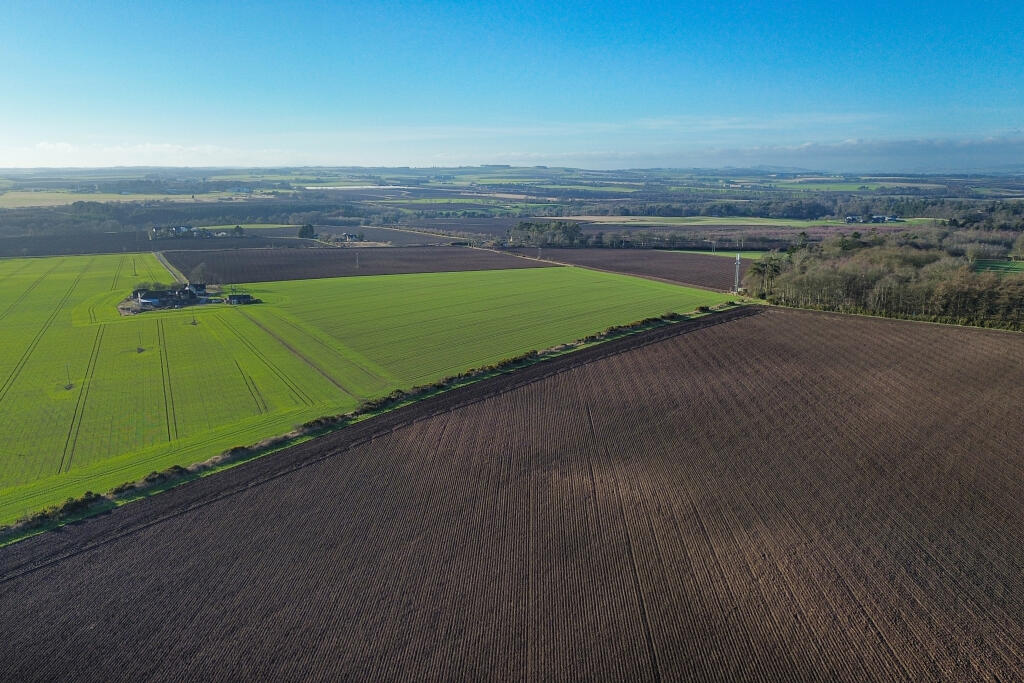 Additional image 38 of Birkhill Steading, Arbroath, DD11