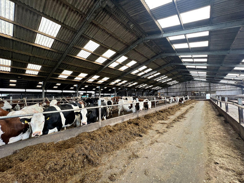 Additional image 20 of Knockefrick Farm