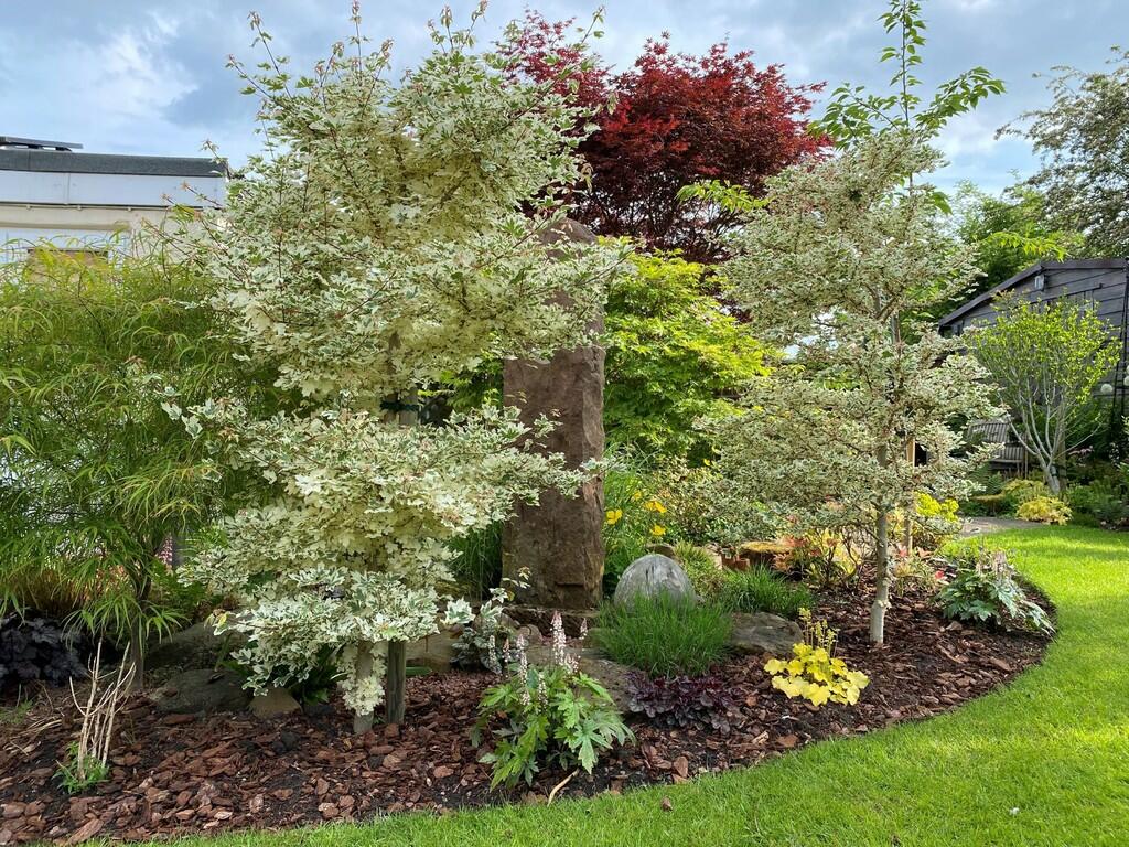 Additional image 22 of New Row, Draycott-in-the-clay