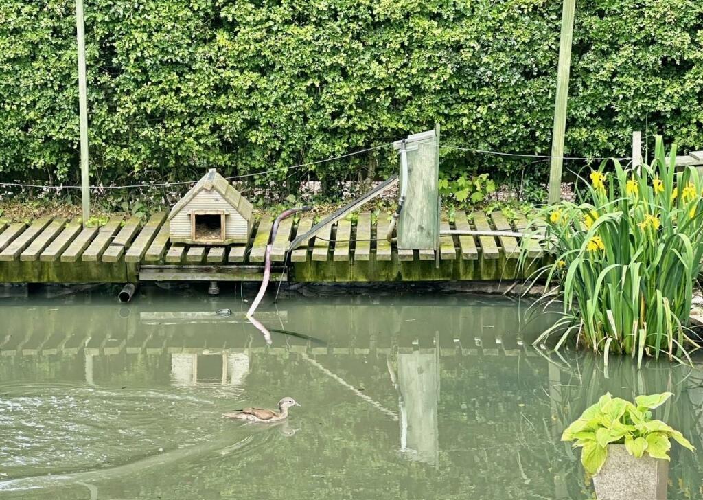 Additional image 50 of Dairy Lane, Poole, Cheshire