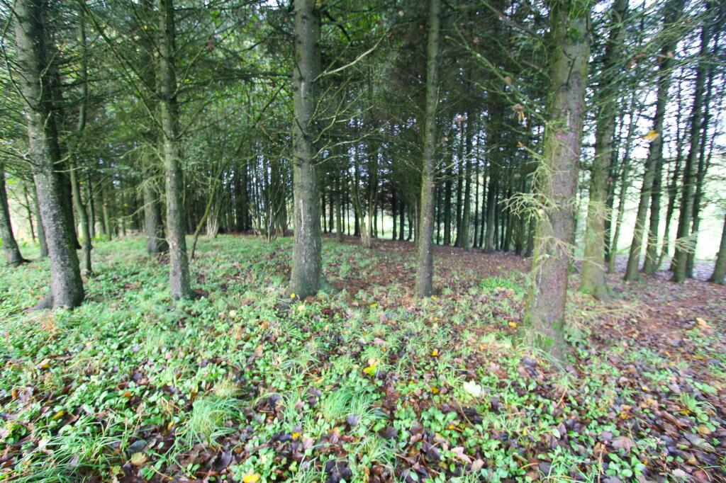 Additional image 32 of Glencroft, Portpatrick, DG9 9AD