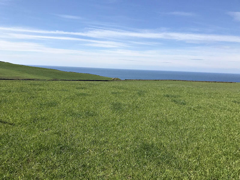 Additional image 9 of Land at Muldaddie