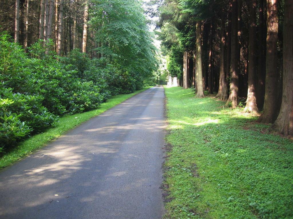 Additional image 32 of Eshwood Hall, Durham