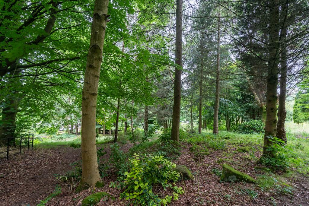 Additional image 43 of Old Brampton Road, Baslow, Bakewell