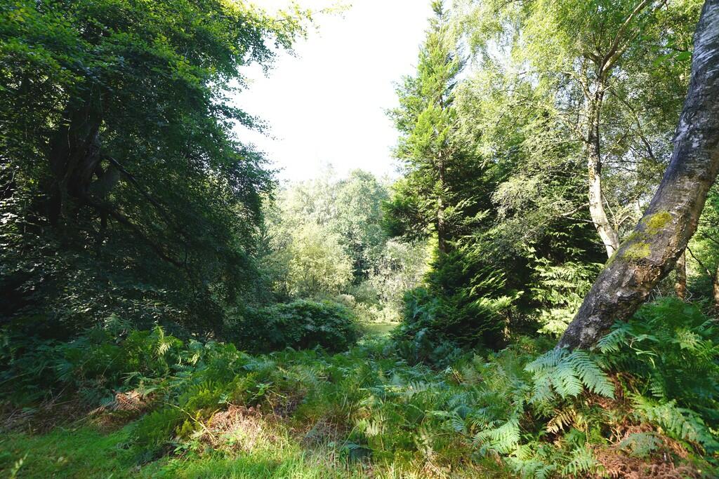 Additional image 53 of Chester Road, Oakmere