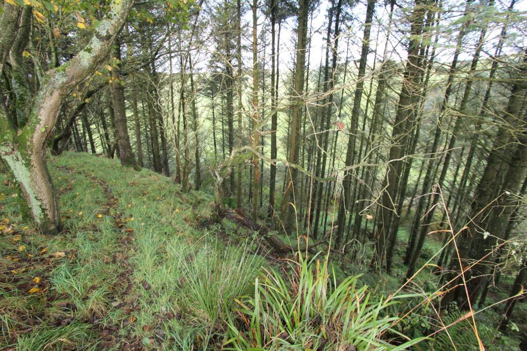 Additional image 35 of Glencroft, Portpatrick, DG9 9AD