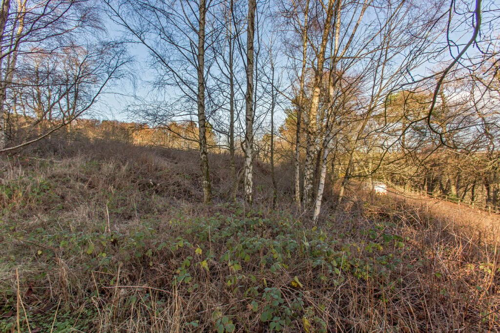 Additional image 5 of Hillside, Montrose, DD10