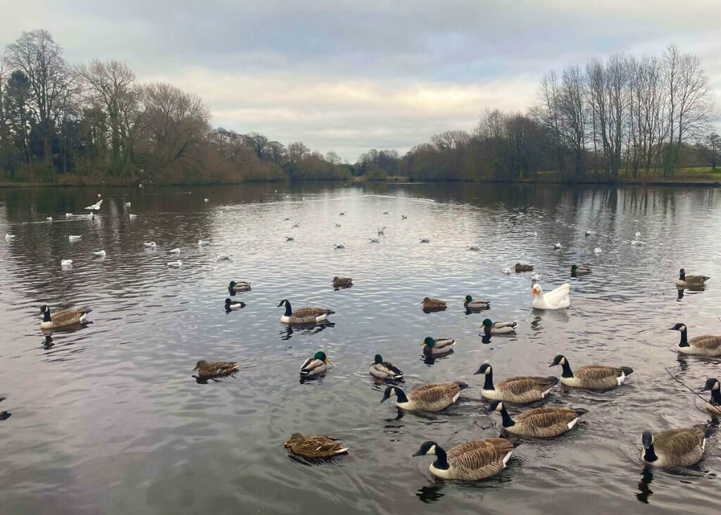 Additional image 16 of ARTHUR PRICE CLOSE,
Winterley,
CW114TX