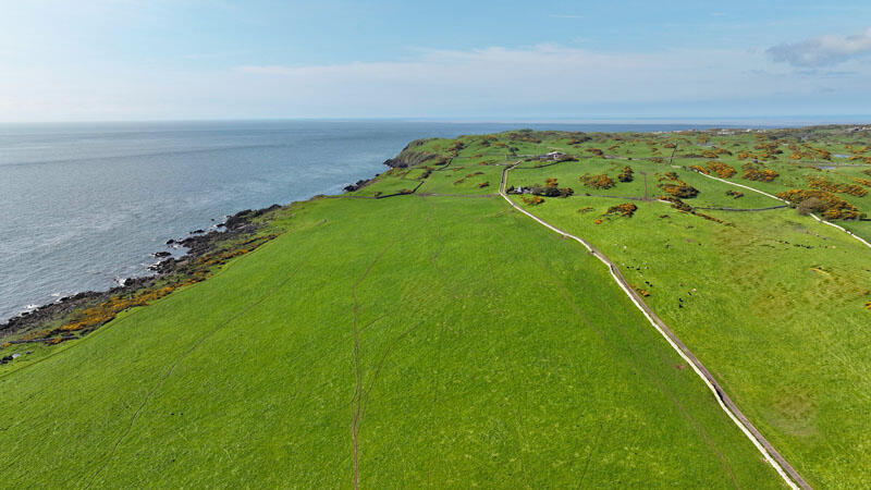 Additional image 5 of Cutreoch & Morrach Farms