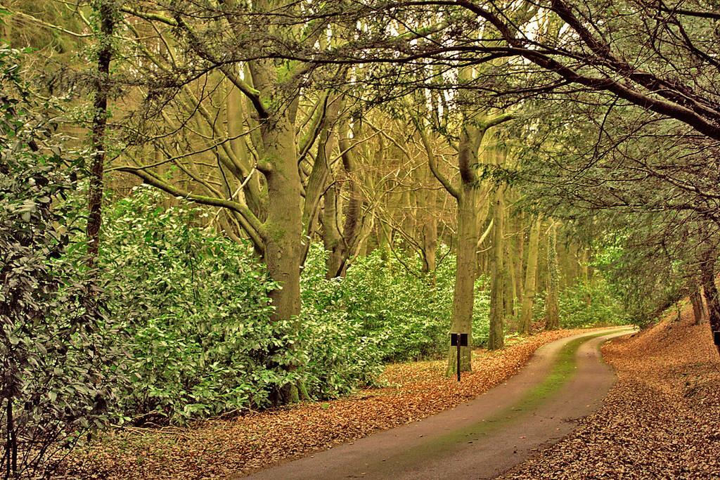 Additional image 33 of Eshwood Hall, Durham