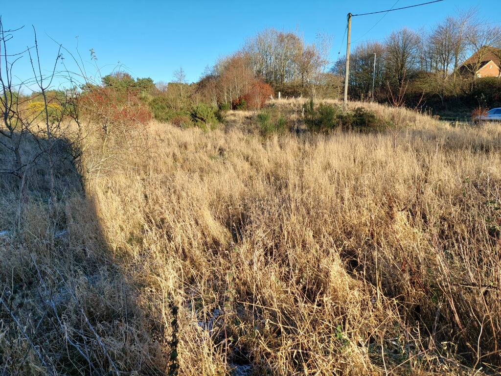 Additional image 7 of Land North of Freicks Buildings, Front Street, County Durham, DH9 9JZ
