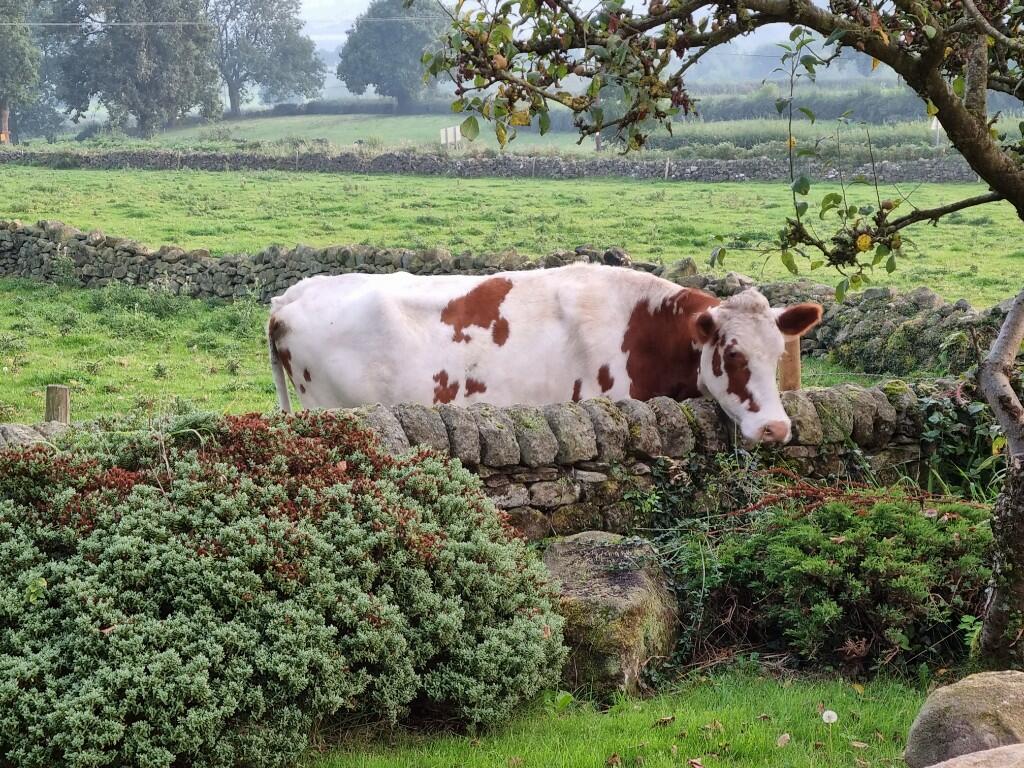 Additional image 7 of Parkhead, DE4