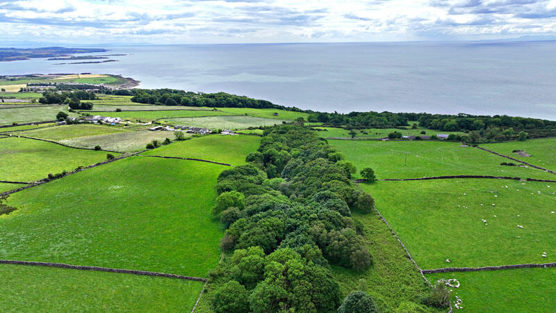 Additional image 23 of HIgh Auchenlarie & Holecroft Farms