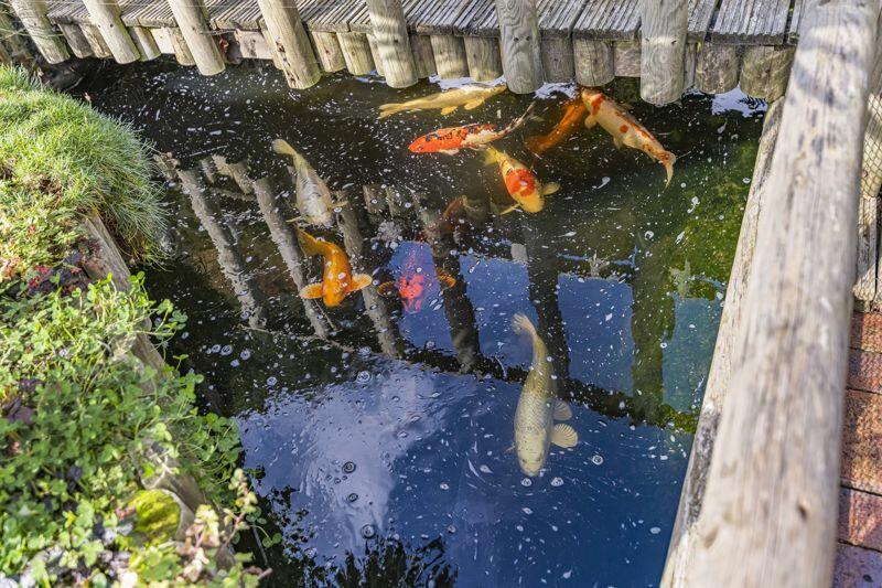 Additional image 28 of Monterey Close, Bexley