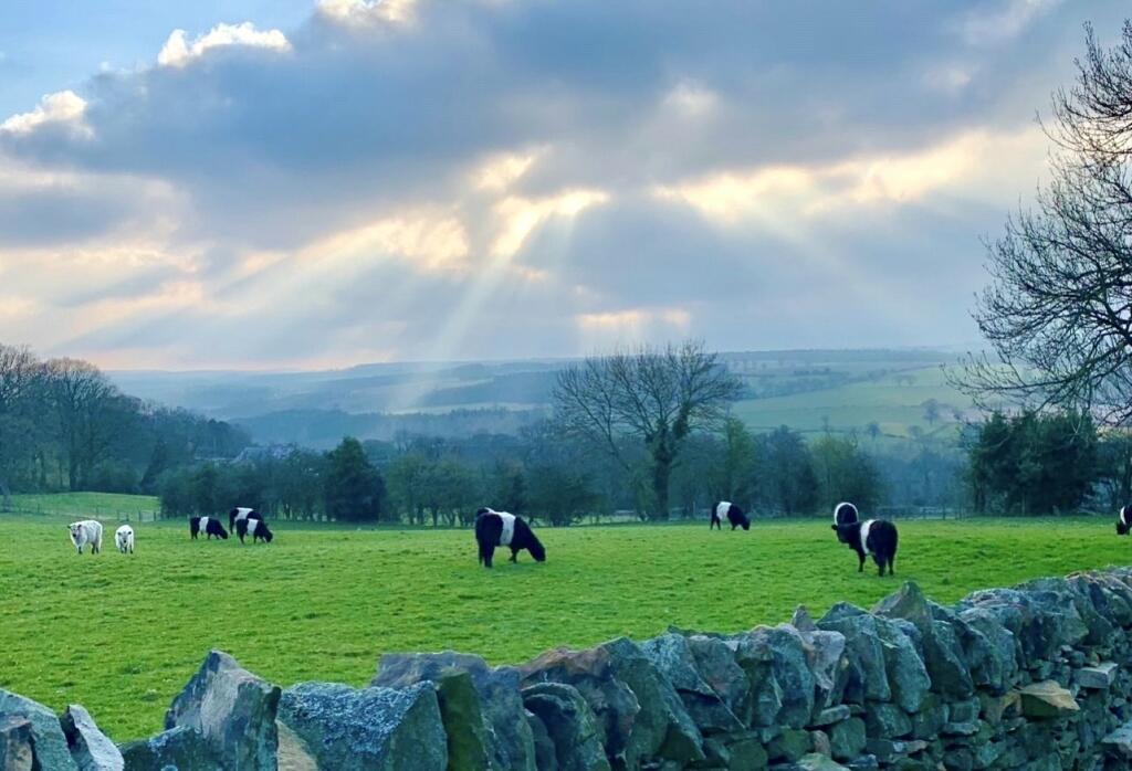 Additional image 30 of East Law, Ebchester, Consett, DH8