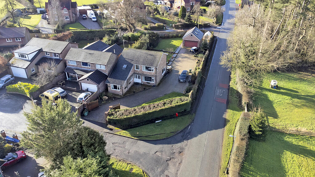 Additional image 31 of Beauty Bank