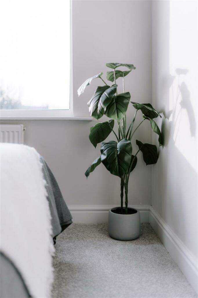 Additional image 27 of Immaculate fully renovated property in the heart of the village