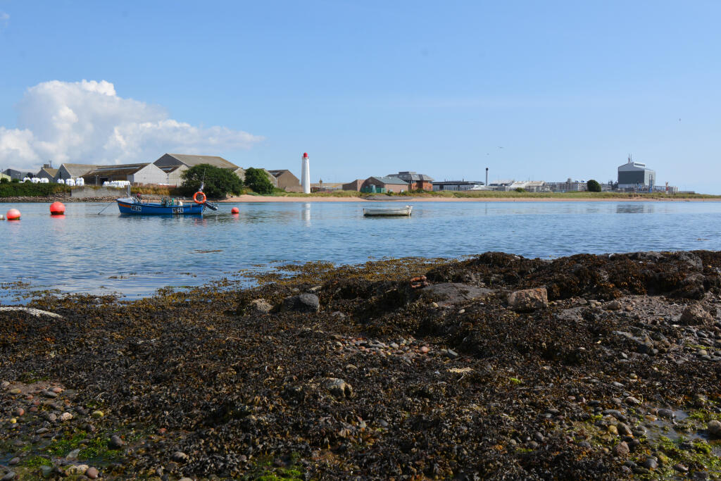 Additional image 15 of Bellevue Terrace, Ferryden, DD10