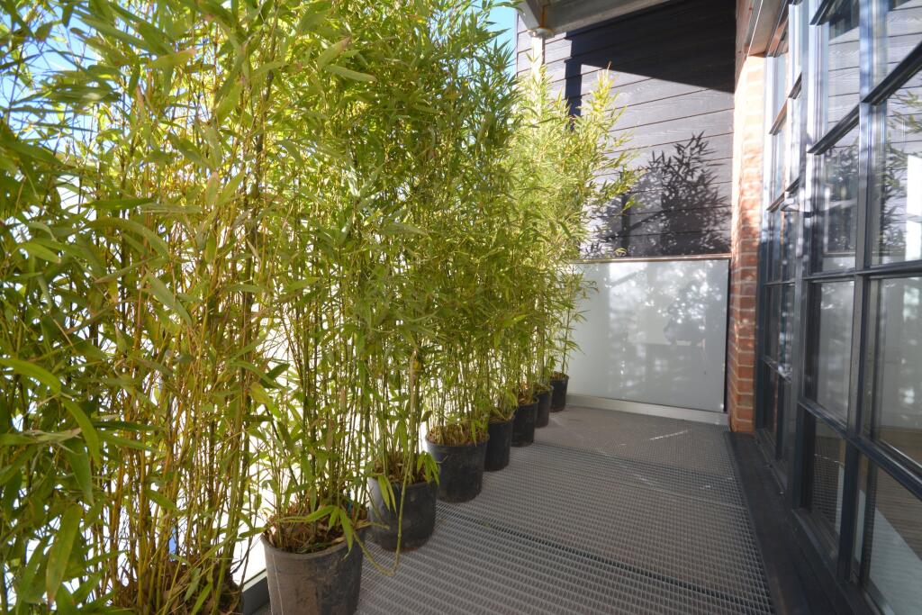 Additional image 19 of 50 Hawley Square, Margate