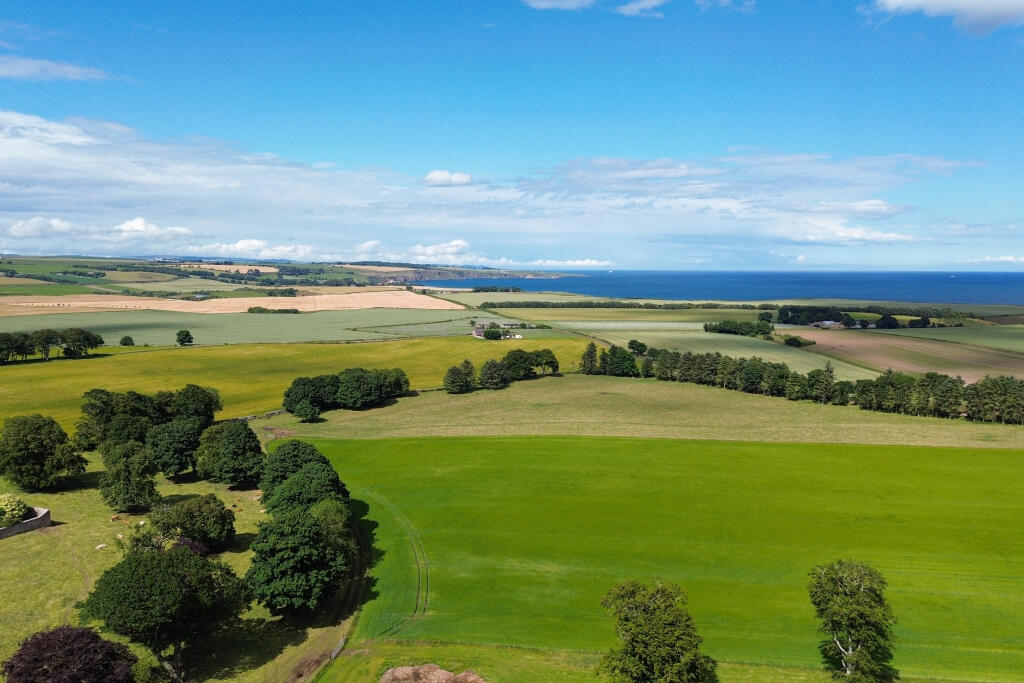 Additional image 39 of Anniston, Inverkeilor, DD11