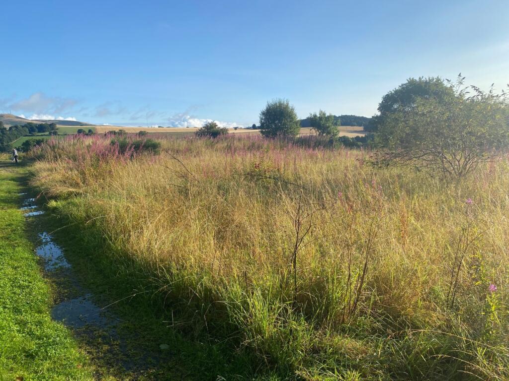 Additional image 6 of Baldragon Farm Development Site, Logan Crescent, Dundee, Angus, DD3