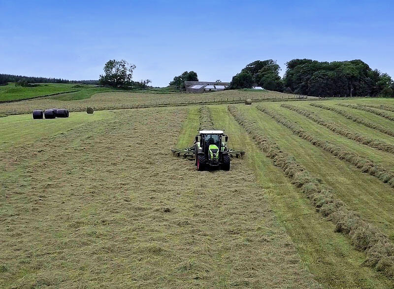 Additional image 6 of Edgarton Farm, Ringford, DG7 2PS