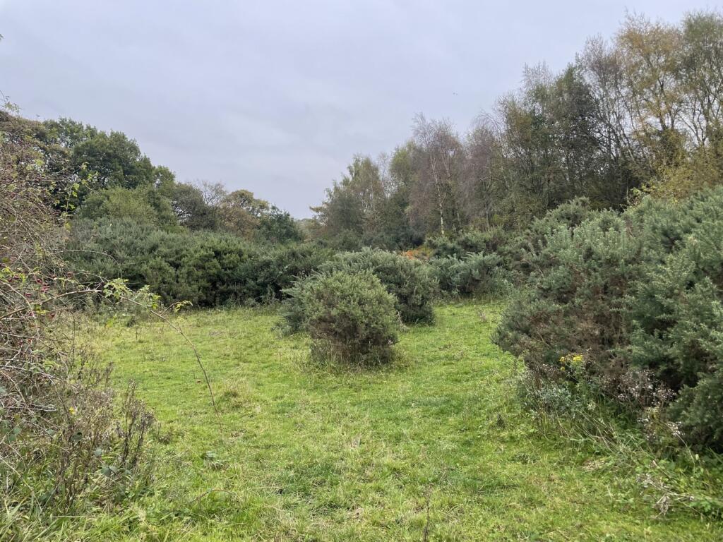 Additional image 5 of Land at Wallnook Lane, Langley Park, Durham