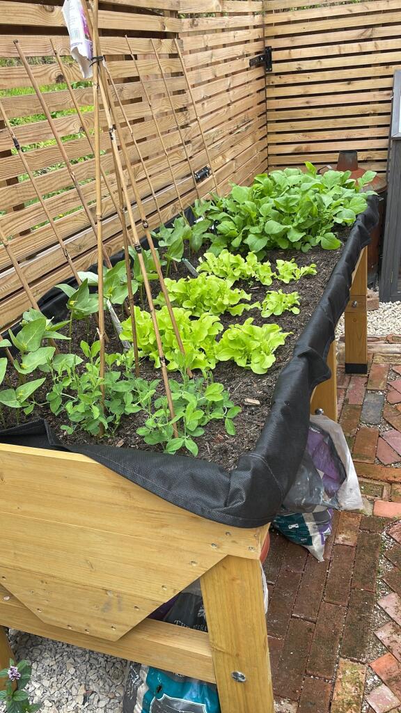 Additional image 28 of Wheatcroft Drive, Ambergate, Belper, DE56