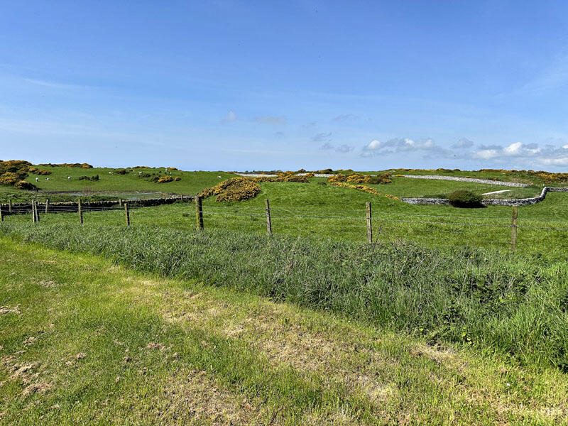 Additional image 8 of Cutreoch & Morrach Farms