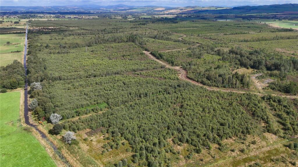 Additional image 13 of Fleet Forest, Fleet Forest, Dumfries, Dumfries & Galloway, South West Scotland, DG1