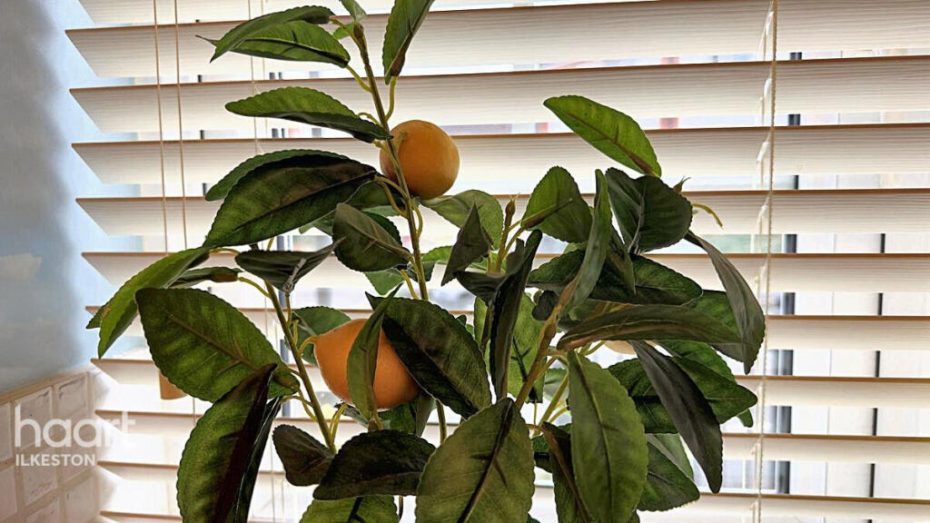 Additional image 7 of Disraeli Crescent, Ilkeston