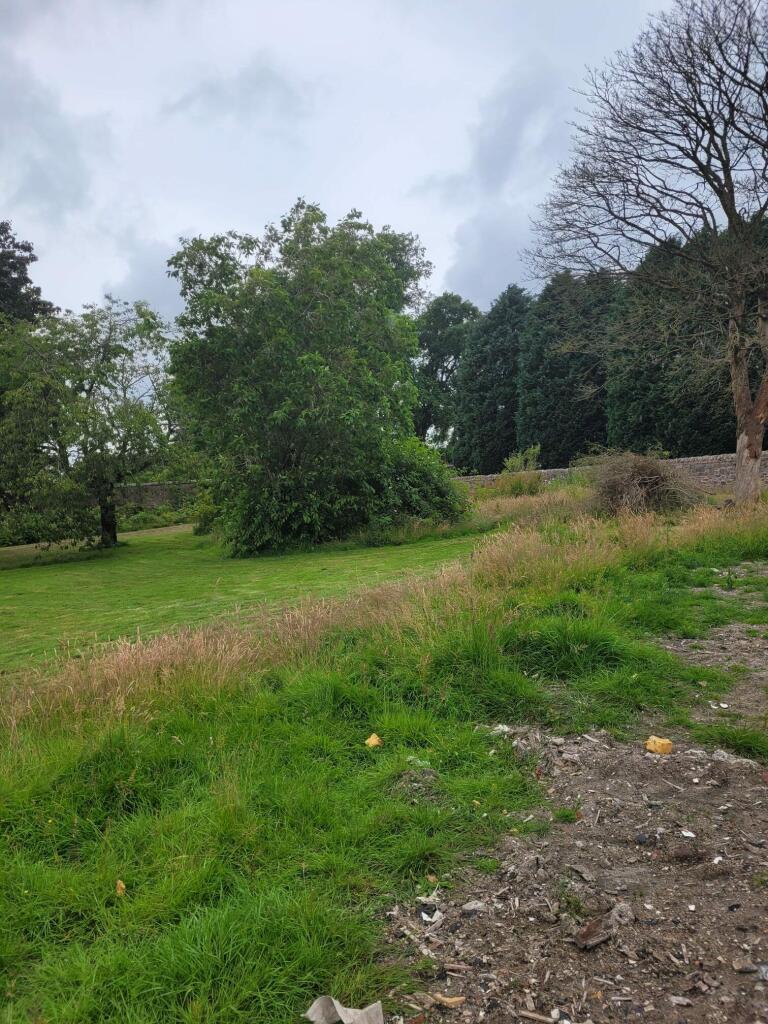 Additional image 4 of Wellburn Home, Liff Road, Dundee, DD2