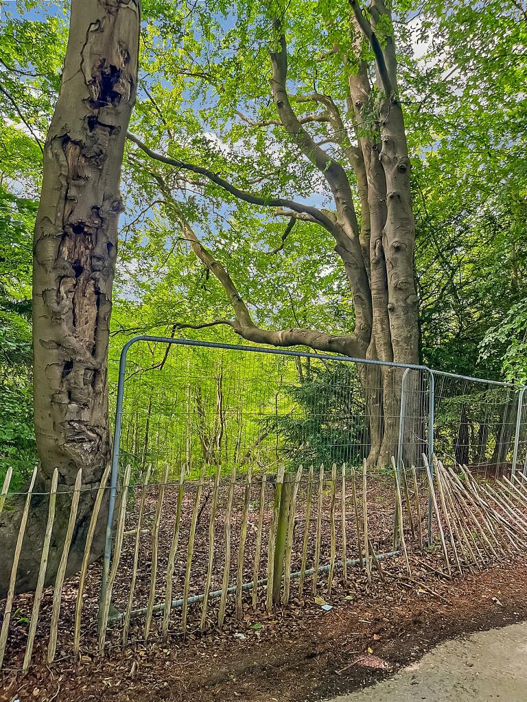 Additional image 8 of Ridge Lane, Meopham, Gravesend, Kent