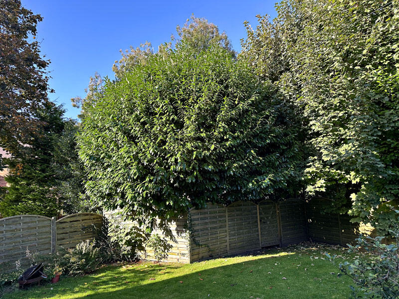 Additional image 16 of Stewart Hall, Lockerbie Road, Dumfries, Dumfriesshire, DG1