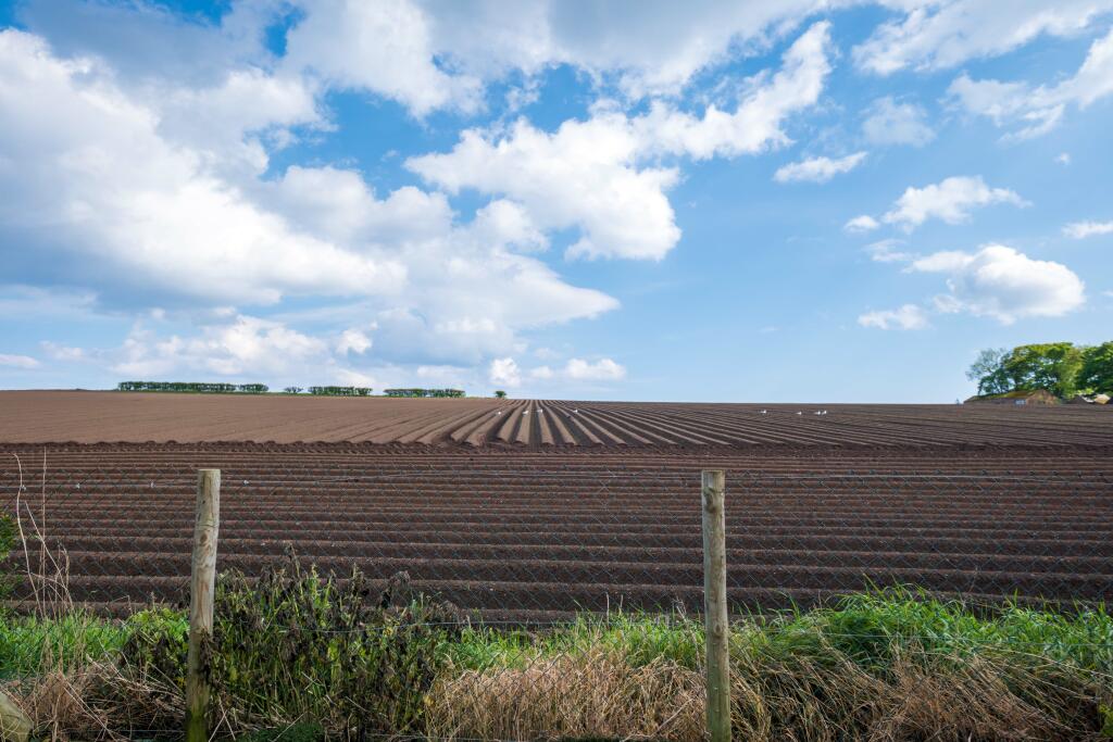 Additional image 14 of Bellevue Terrace, Ferryden, DD10