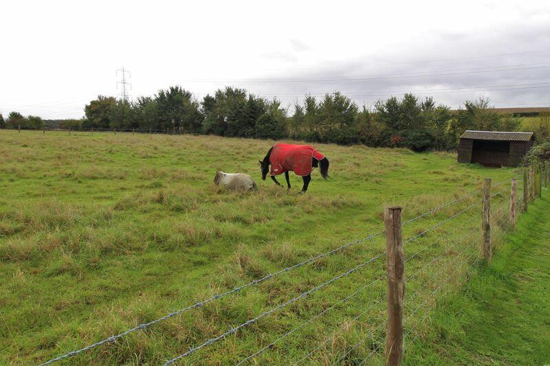 Additional image 8 of Gorringe Avenue, Dartford