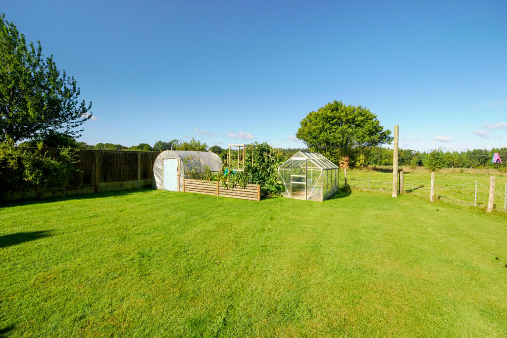 Additional image 2 of Bladbean, Canterbury, CT4