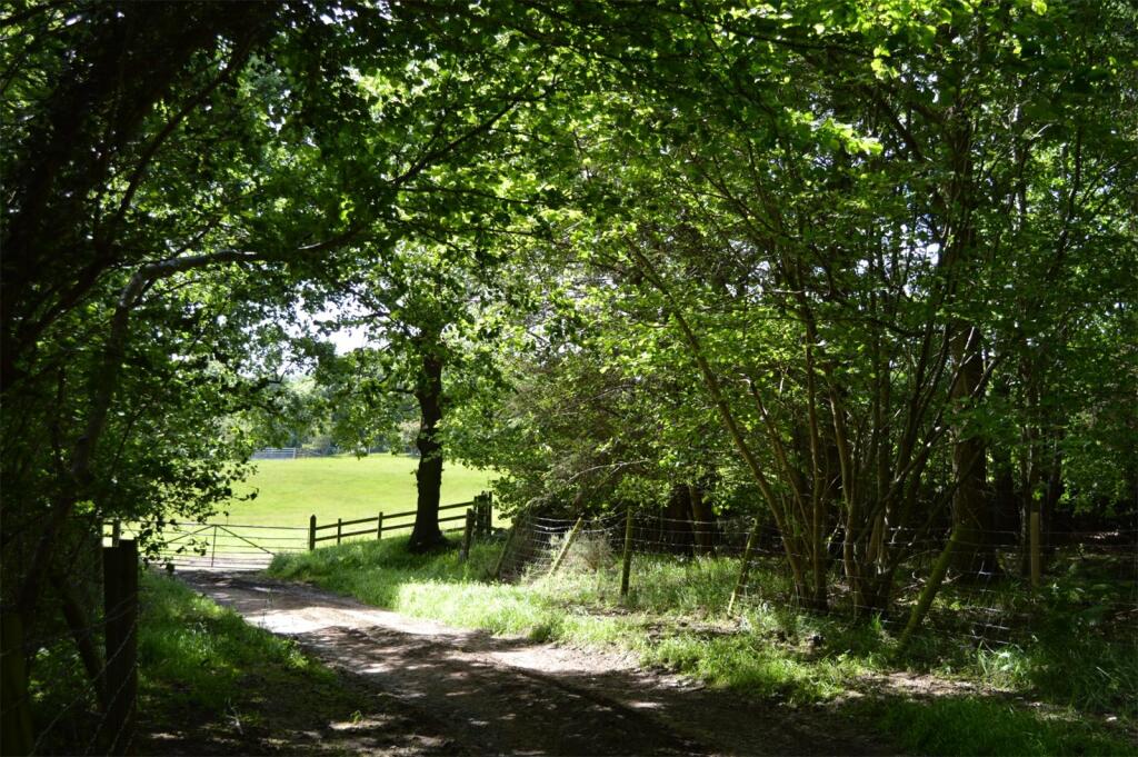 Additional image 3 of Woodland To The West Of Ebchester, New Wood, Newlands, Consett